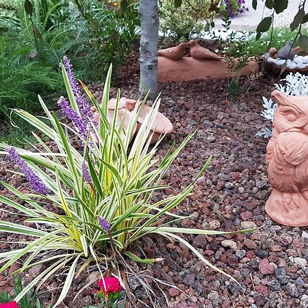 Nel Giardino Di Dafne Villa Stresa Buitenkant foto
