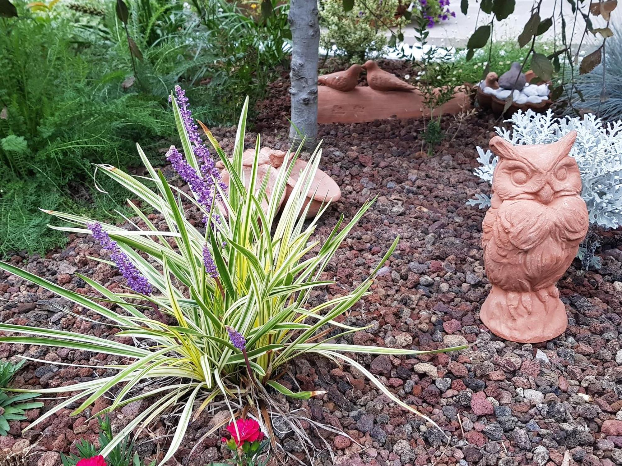 Nel Giardino Di Dafne Villa Stresa Buitenkant foto